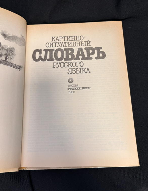 Картинно-ситуативный словарь русского языка (2390)
