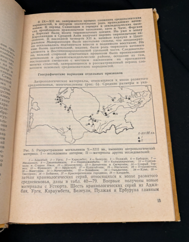 Етнические процессы в Средней Азии в эпоху средневековья (2367)