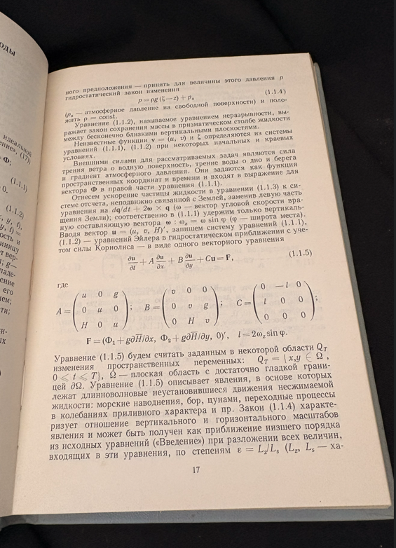 Теория мелкой воды. Океанологические задачи и численные методы (2377)