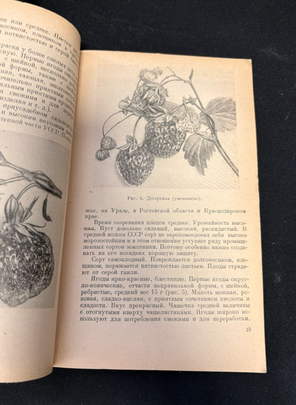 Ягодные культуры - вътрешни страници с илюстрации