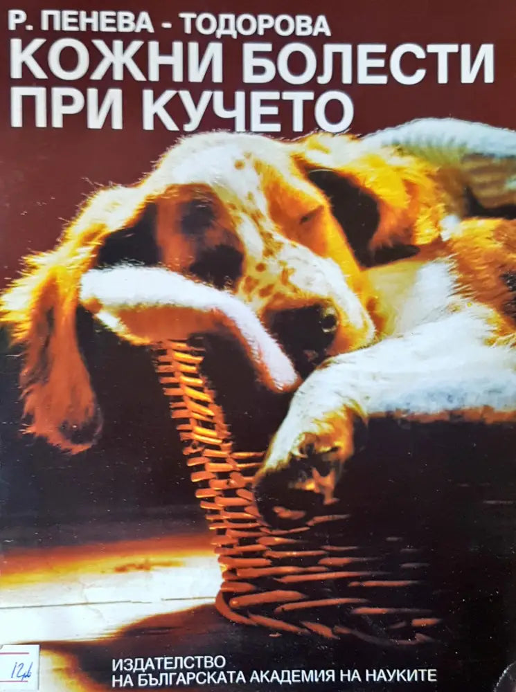 ABSORB - Книги