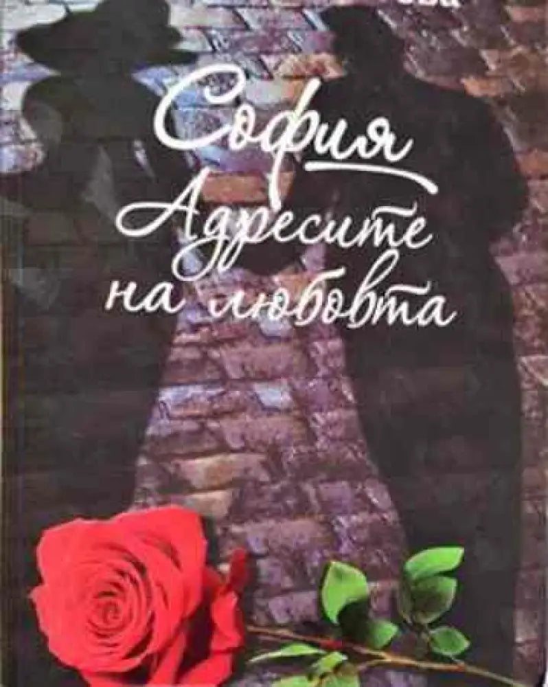 Адресите на любовта - Книги
