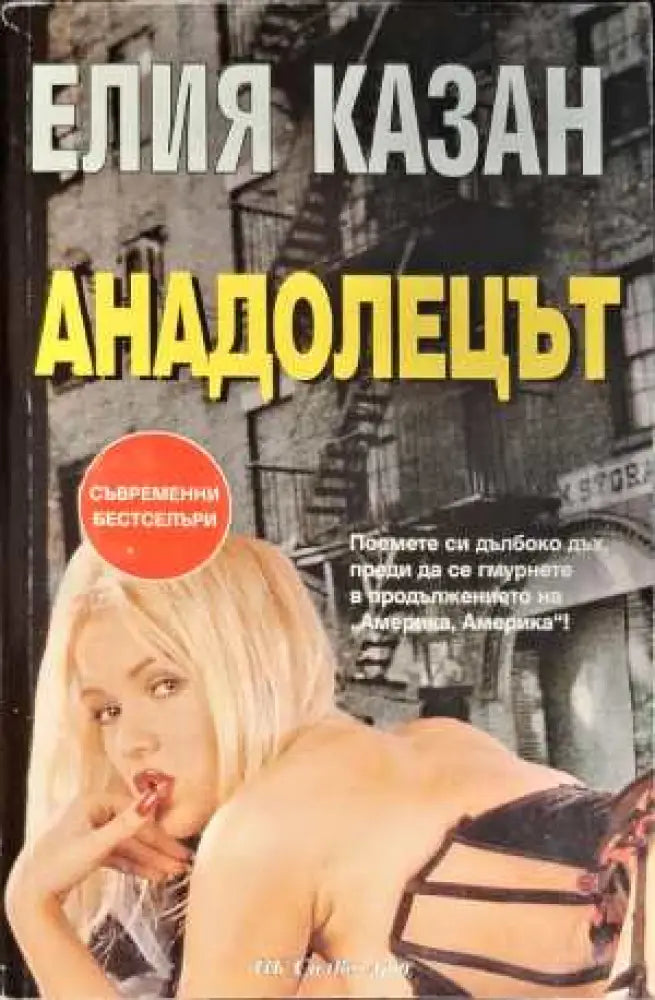 Анадолецът (1466) - Книга