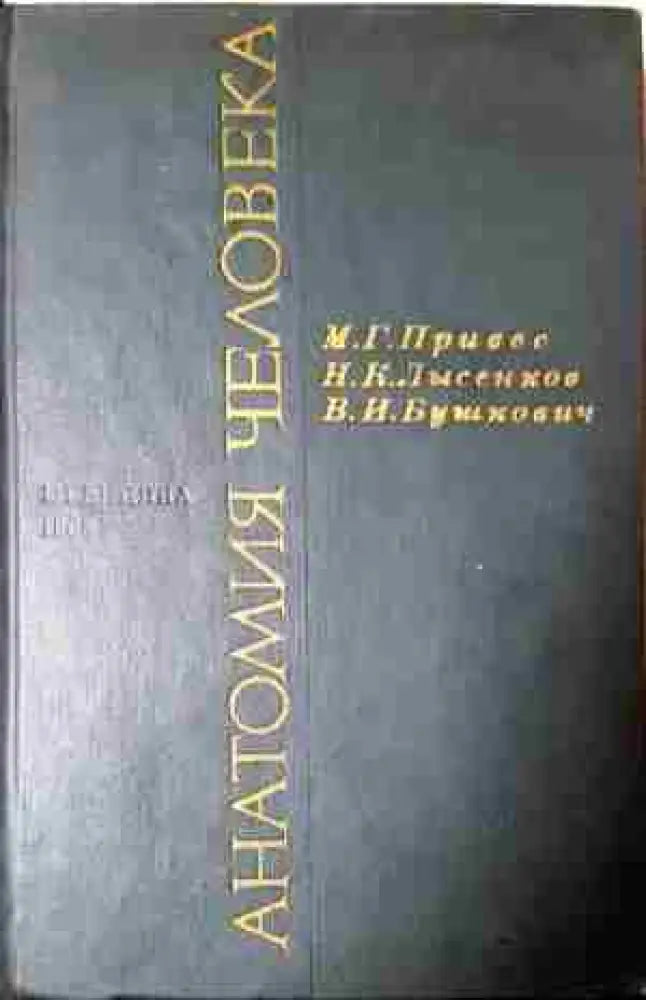 Анатомия человека - Книга