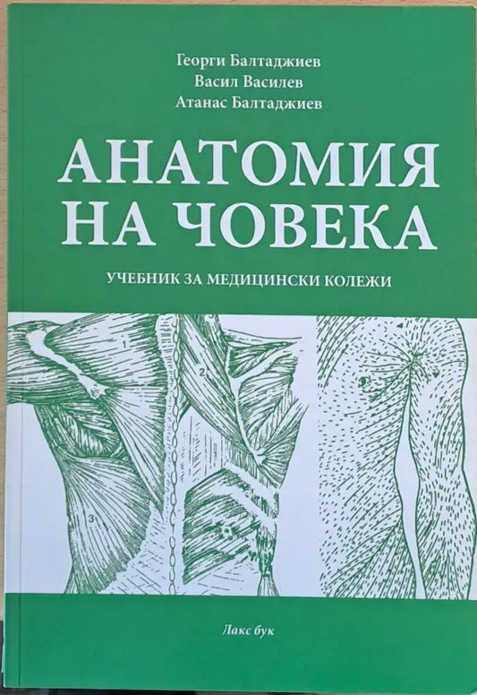 Анатомия на човека (934) - Книга