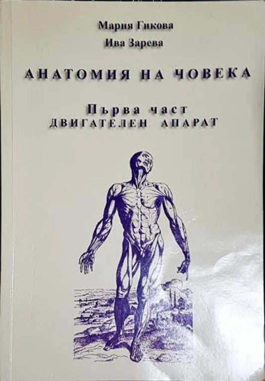 Анатомия на човека. Част 1. Двигателен апарат - Книга