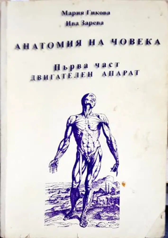 Анатомия на човека. Част 1: Двигателен апарат - Книги