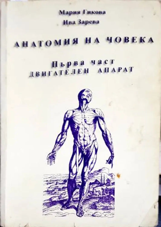 Анатомия на човека. Част 1: Двигателен апарат - Книги