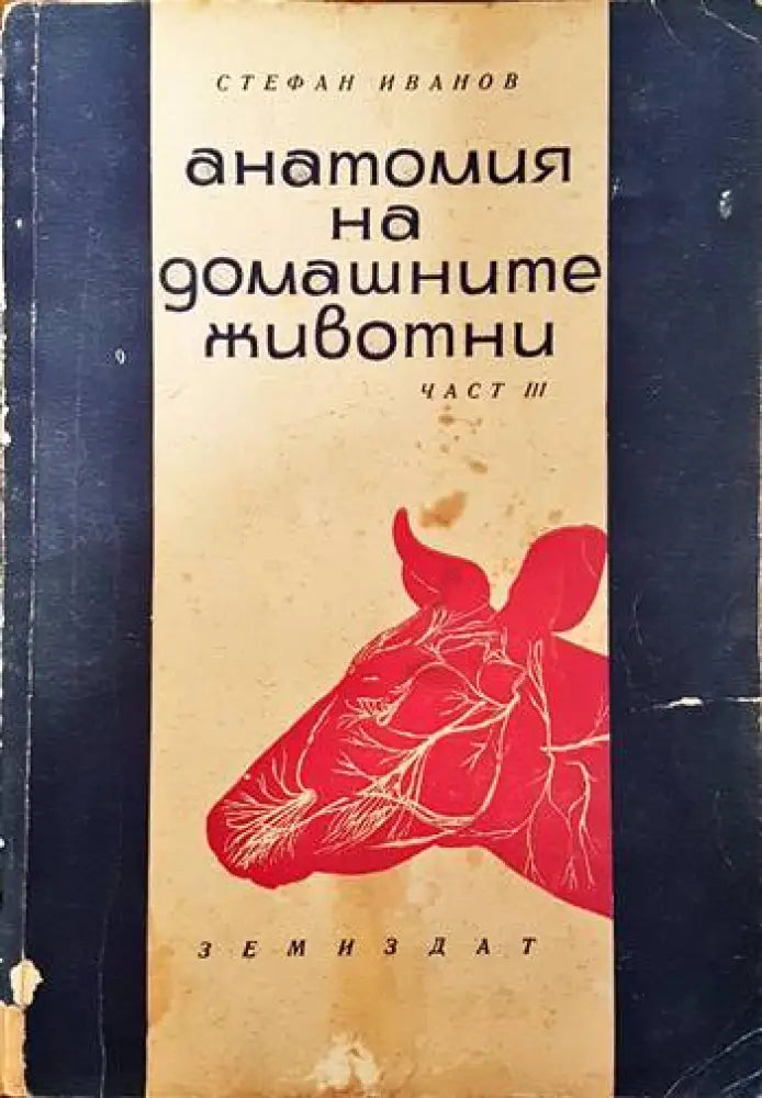 Анатомия на домашните животни. Част 3 - Книги
