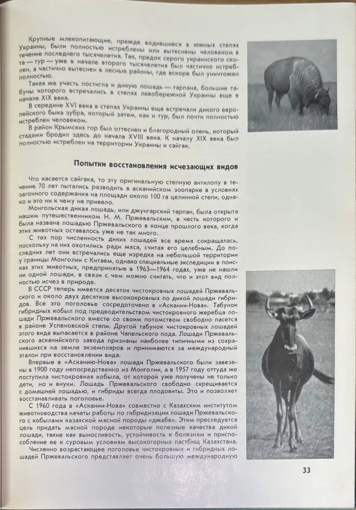 Аскания-нова - Книги