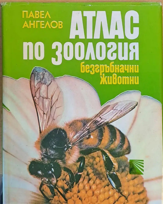 Атлас по зоология - безгръбначни животни - Книги