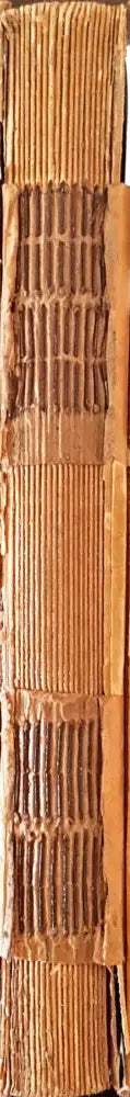 Безъ домъ (1042) - Книга