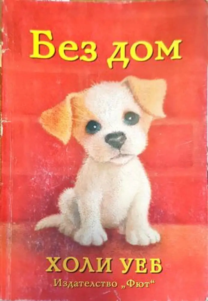 Без дом (668) - Книга