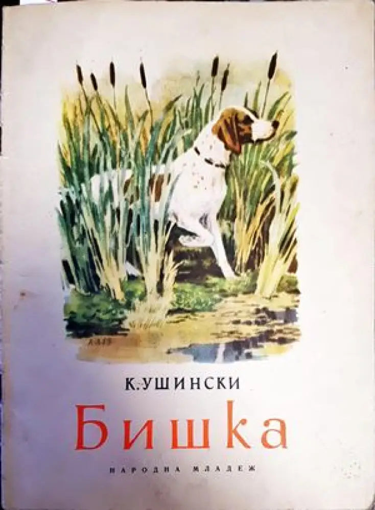 Бишка - Книги