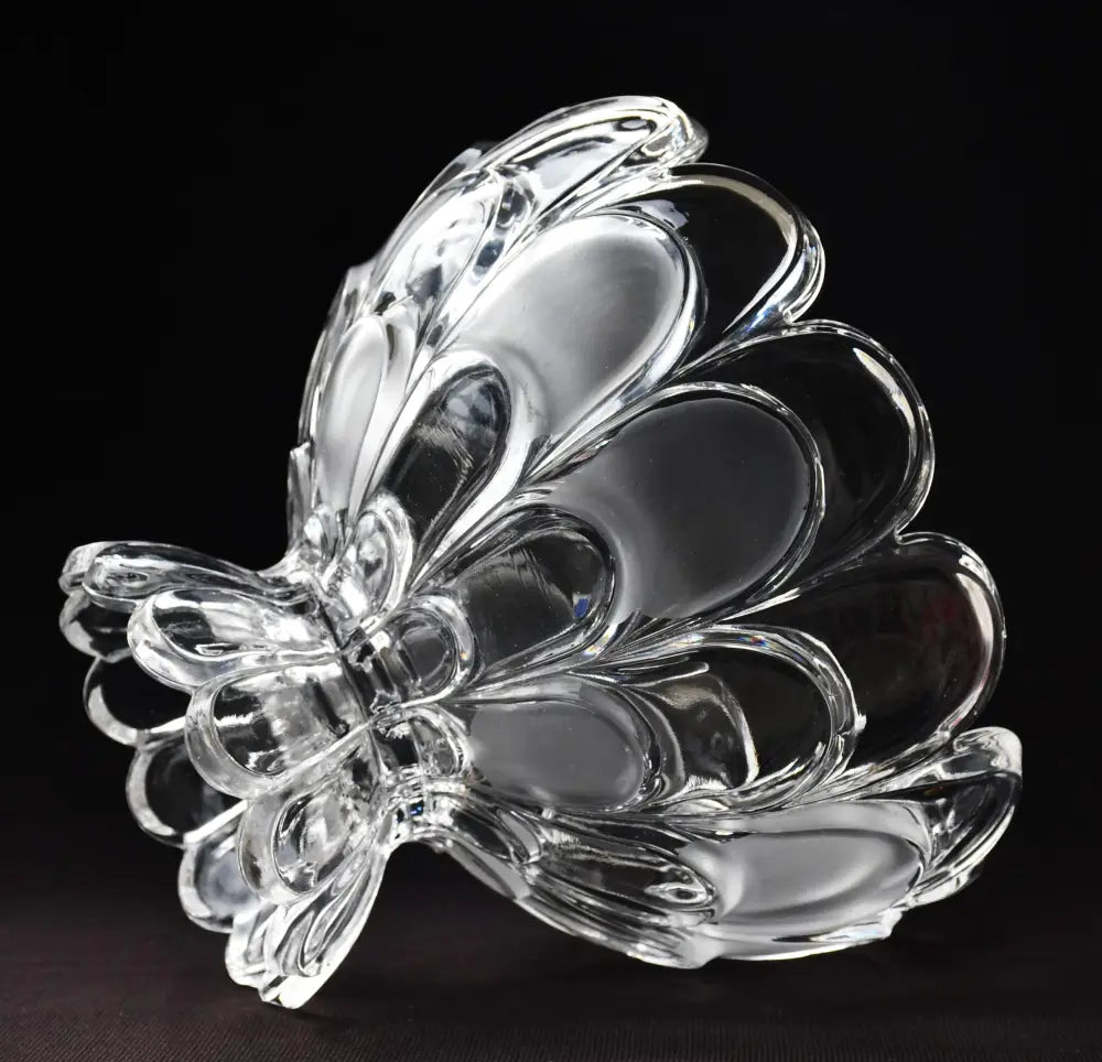 ’Bohemia’ - Фруктиера ’Toscana Drape’ antique