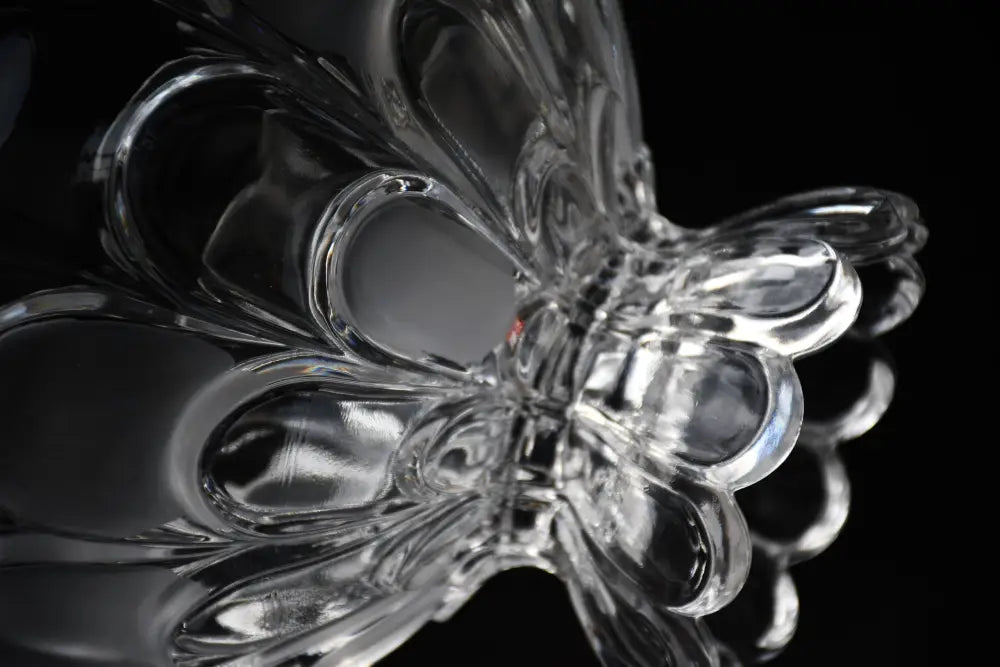 ’Bohemia’ - Фруктиера ’Toscana Drape’ antique