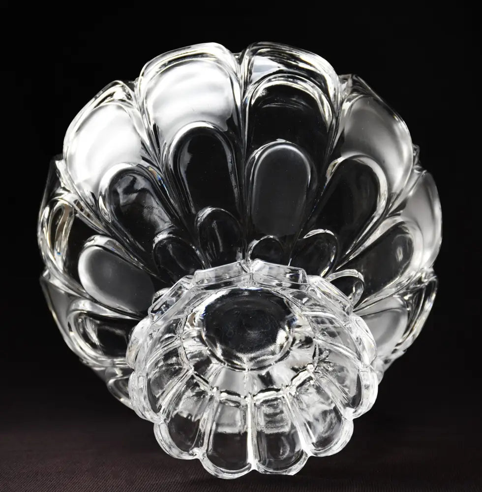 ’Bohemia’ - Фруктиера ’Toscana Drape’ antique