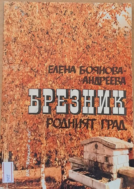 Брезник - родният град - Книги