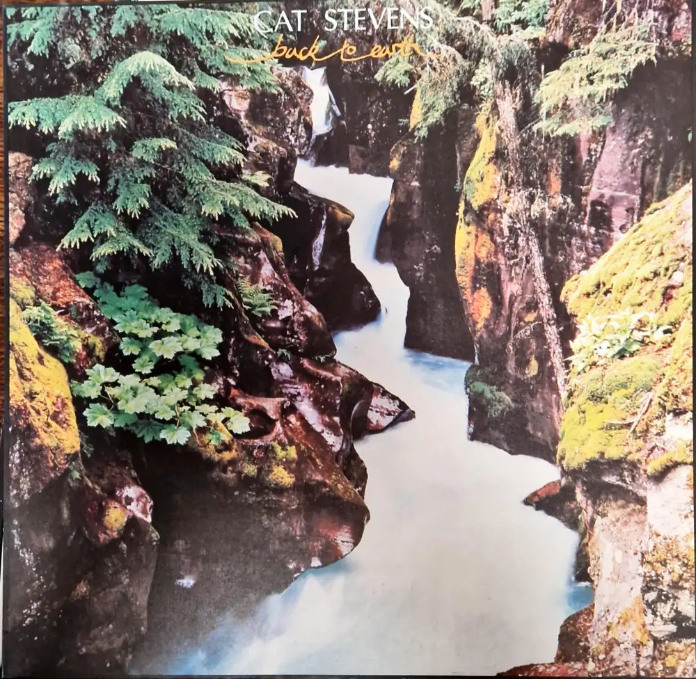 Cat Stevens - Back to Earth - antique