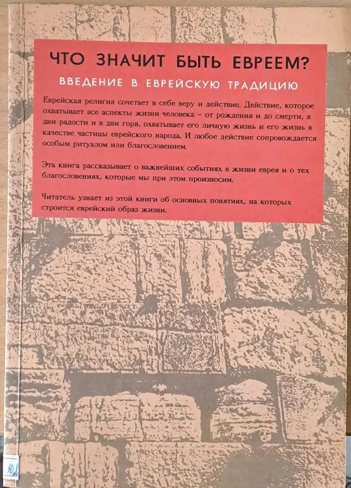 Что значит быть Евреем? Введение в Еврейскую традицию - Книги