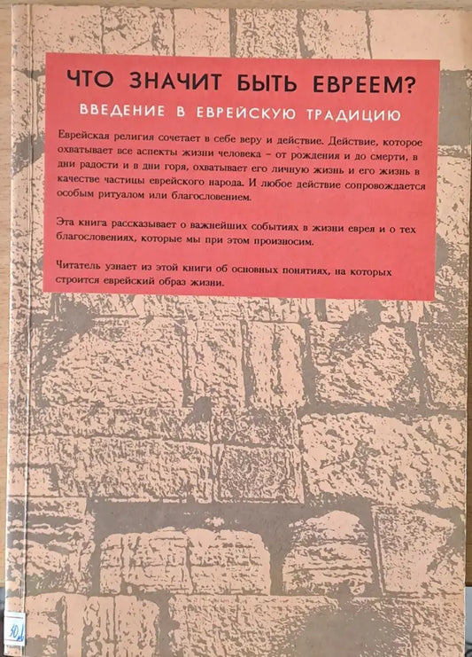 Что значит быть Евреем? Введение в Еврейскую традицию - Книги