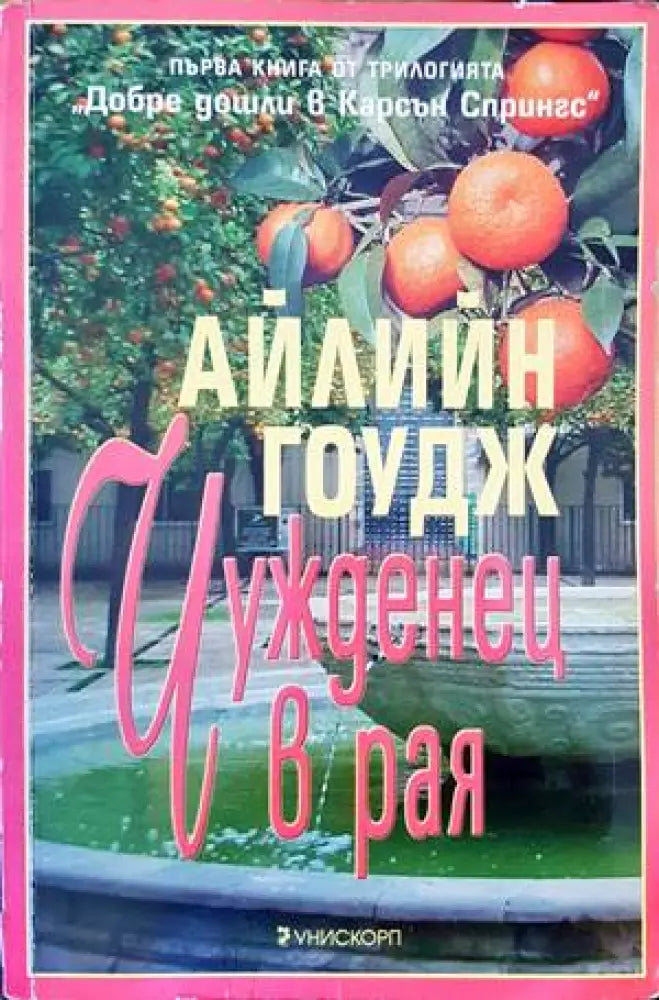 Чужденец в рая (1293) - Книга