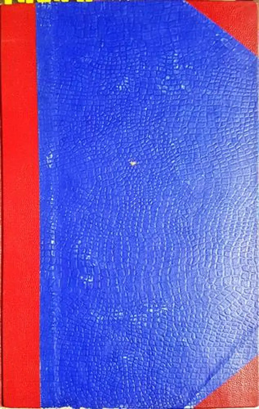 Далечни страни - Аркадий Гайдар (1859) - Книга