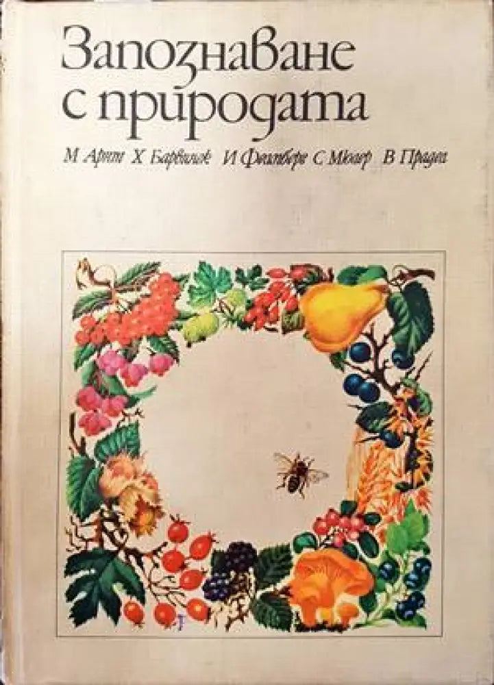 Das grosse Buch der Insekten - Книги