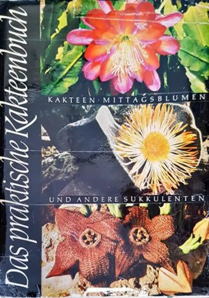 Das praktische Kakteenbuch in Farben - Книги