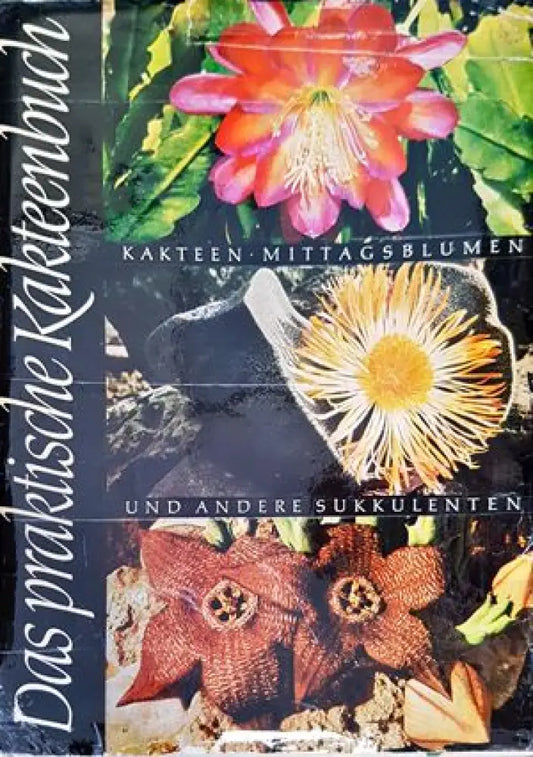 Das praktische Kakteenbuch in Farben - Книги