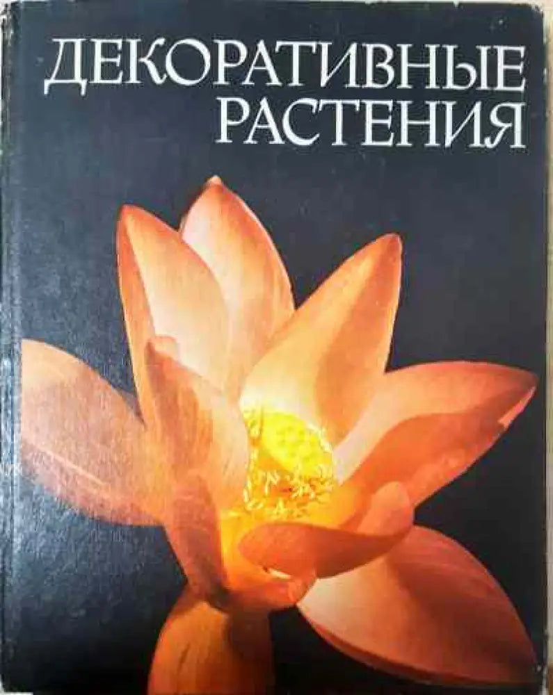 ДекоративньI растения - Книги