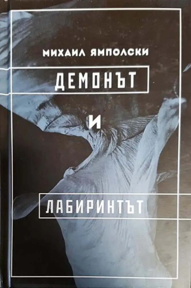 Демонът и лабиринтът - Книга
