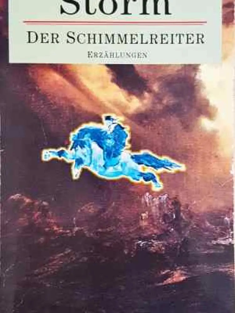 Der Schimmelreiter - Книга