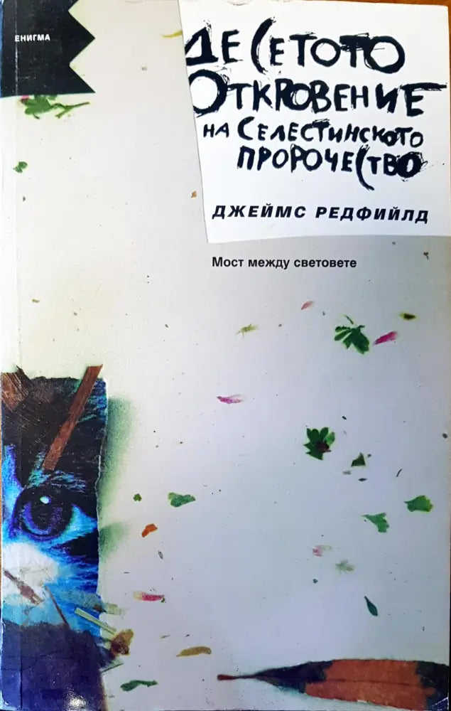 Десетото откровение на селестинското порочество - Книги