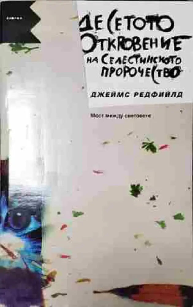 Десетото откровение на Селестинското пророчество- Джеймс - Книга