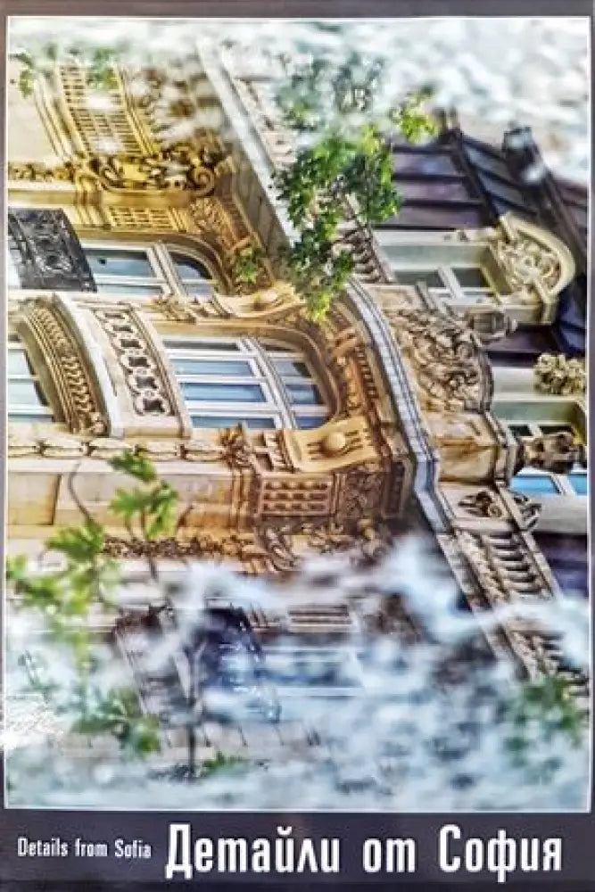 Детайли от София / Details from Sofia - Книги