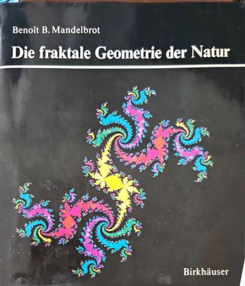 Die fraktale Geometrie der Narur - Книги