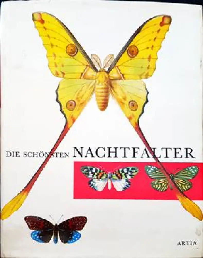 Die schhonsten nachtfalter - Книги