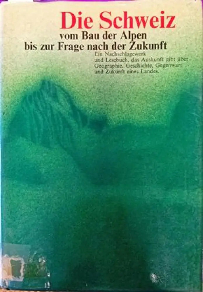 Die Schweiz vom Bau der Alpen bis zur Frage nach der Zukunft - Книги