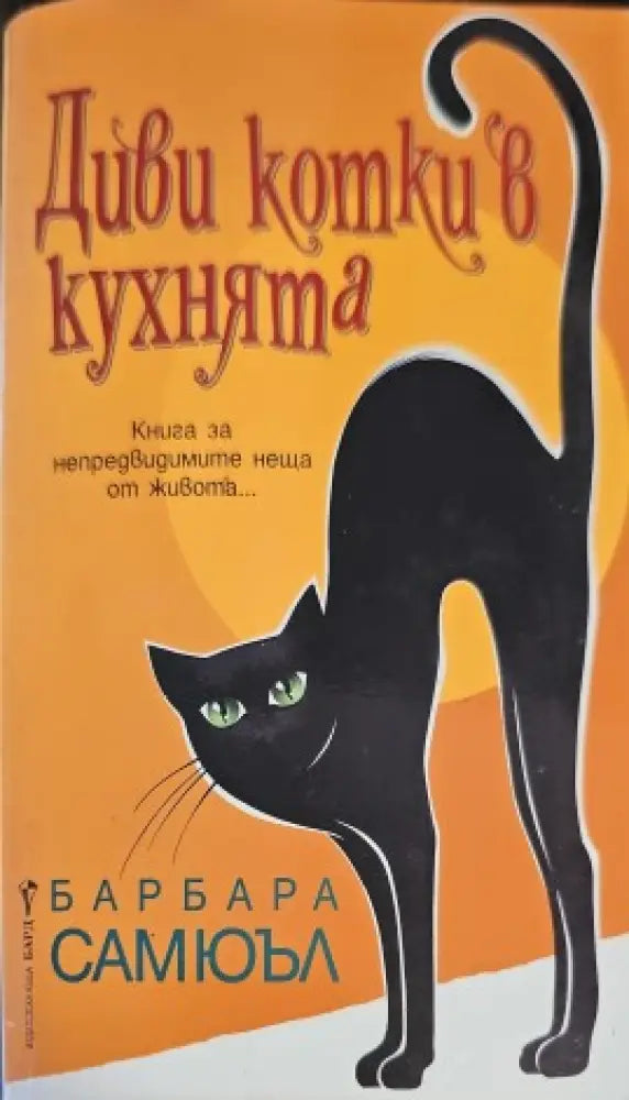 Диви котки в кухнята - Книги