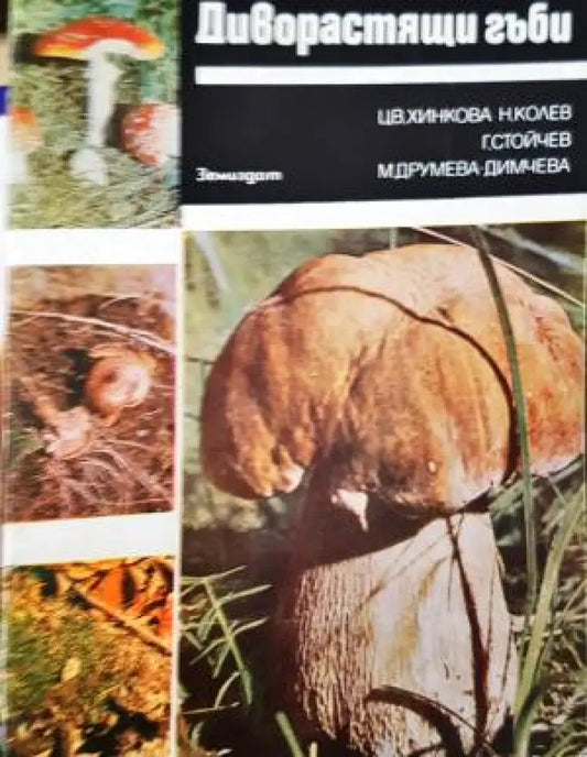 Диворастящи гъби (1123) - Книга