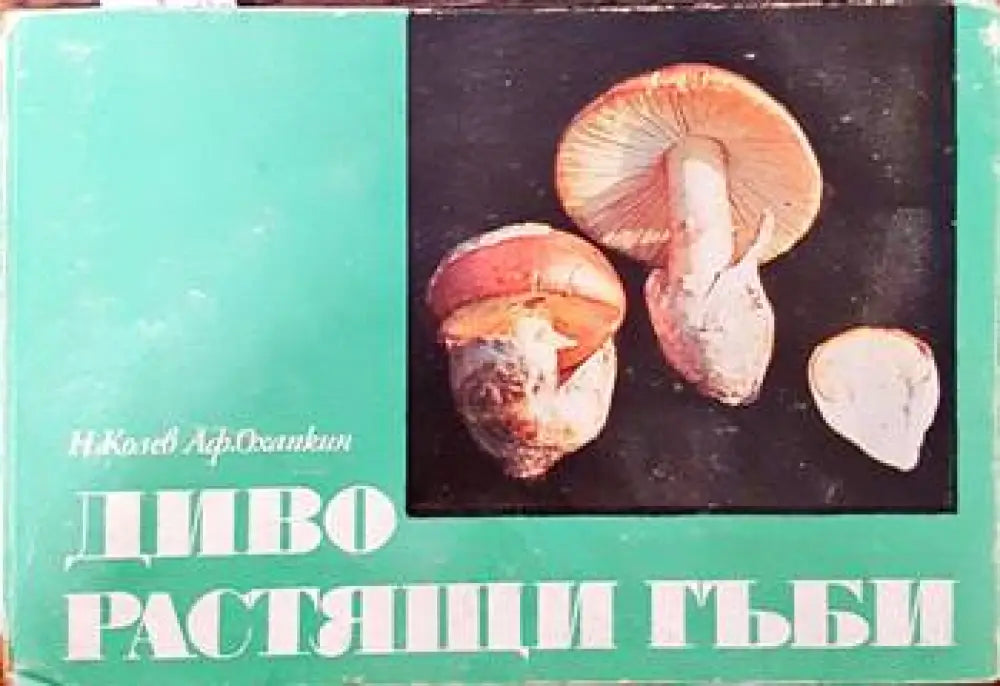 Диворастящи гъби - Книги