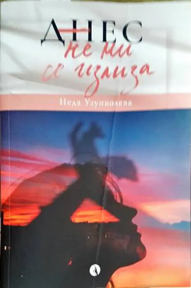 Днес не ми се излиза - Книги