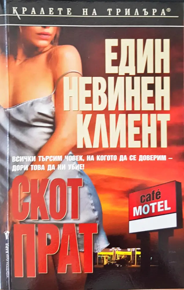 Един невинен клиент - Книги
