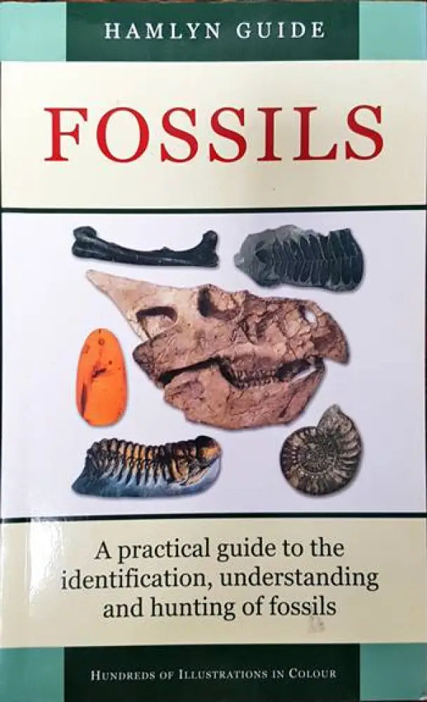Fossils - Книги
