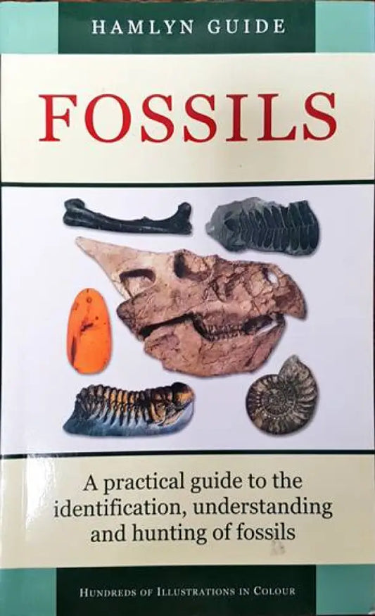 Fossils - Книги