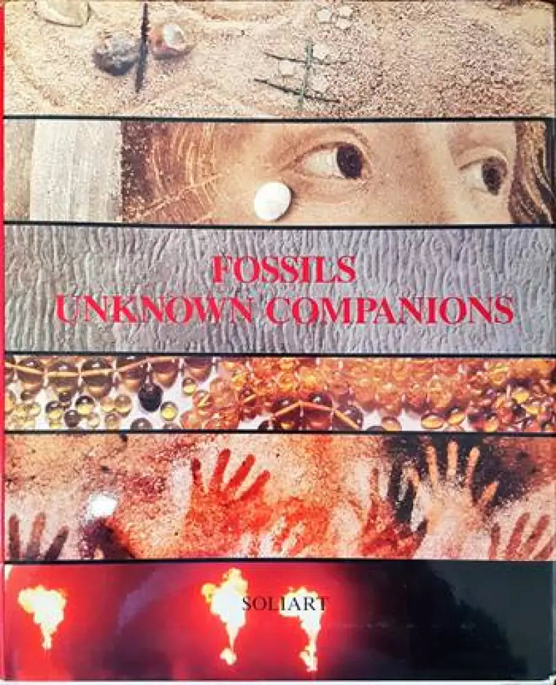 Fossils Unknown Companions - Книги