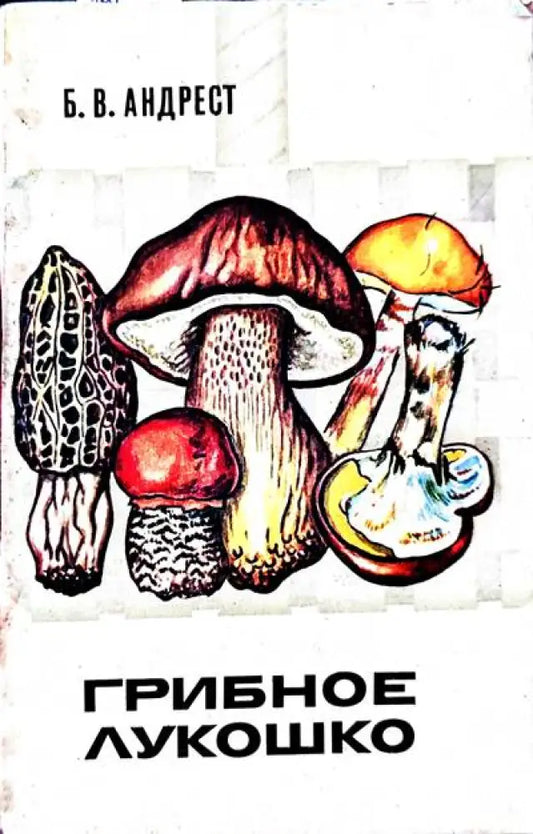Грибное лукошко - Книги
