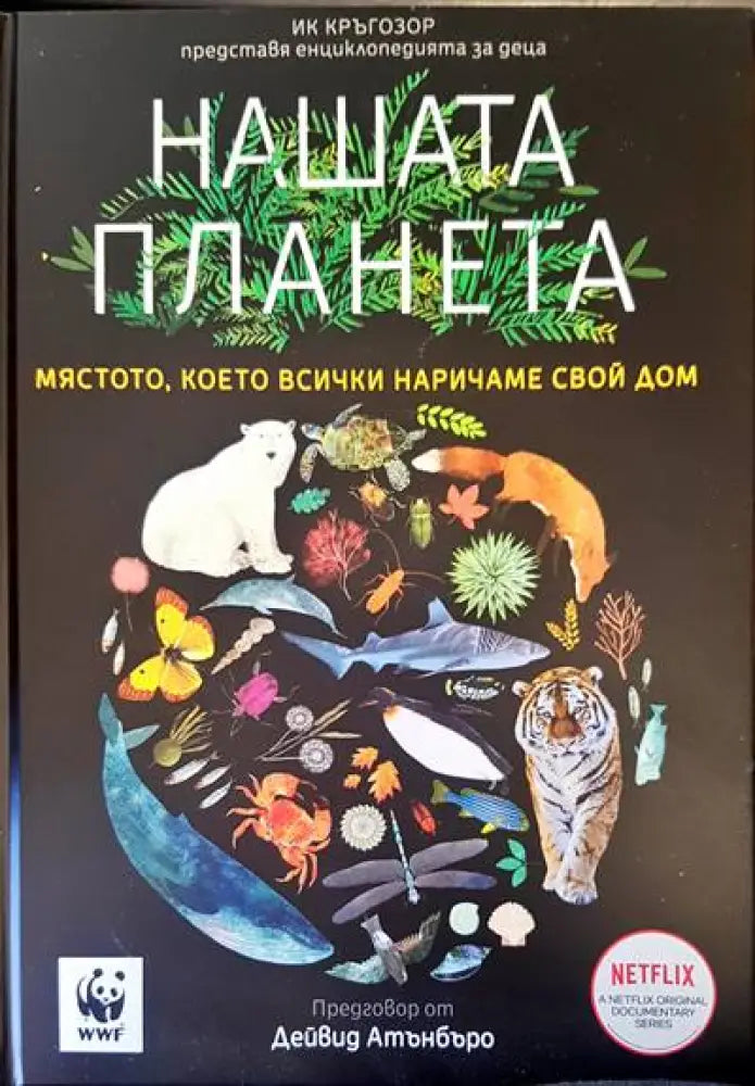 Хроники. Пътуване през историята (406) - Книга