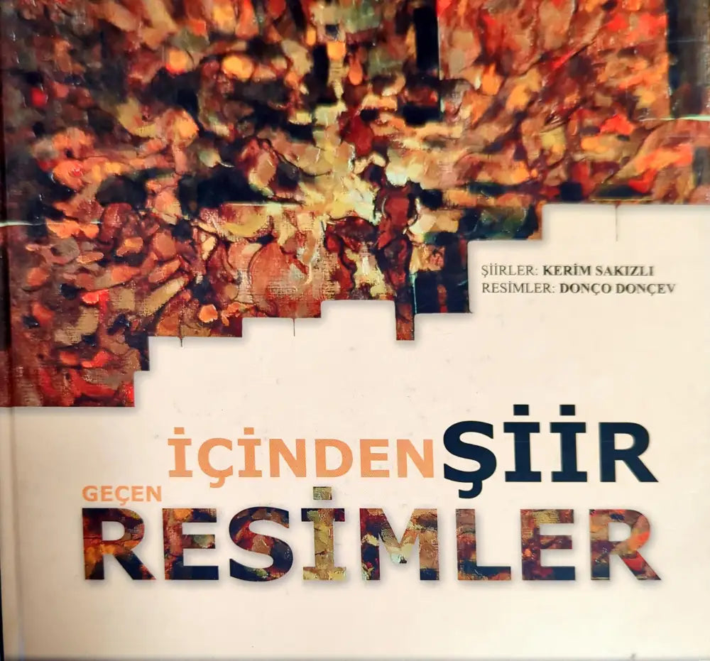 İçinden Şiir Geçen Resimler - Книги